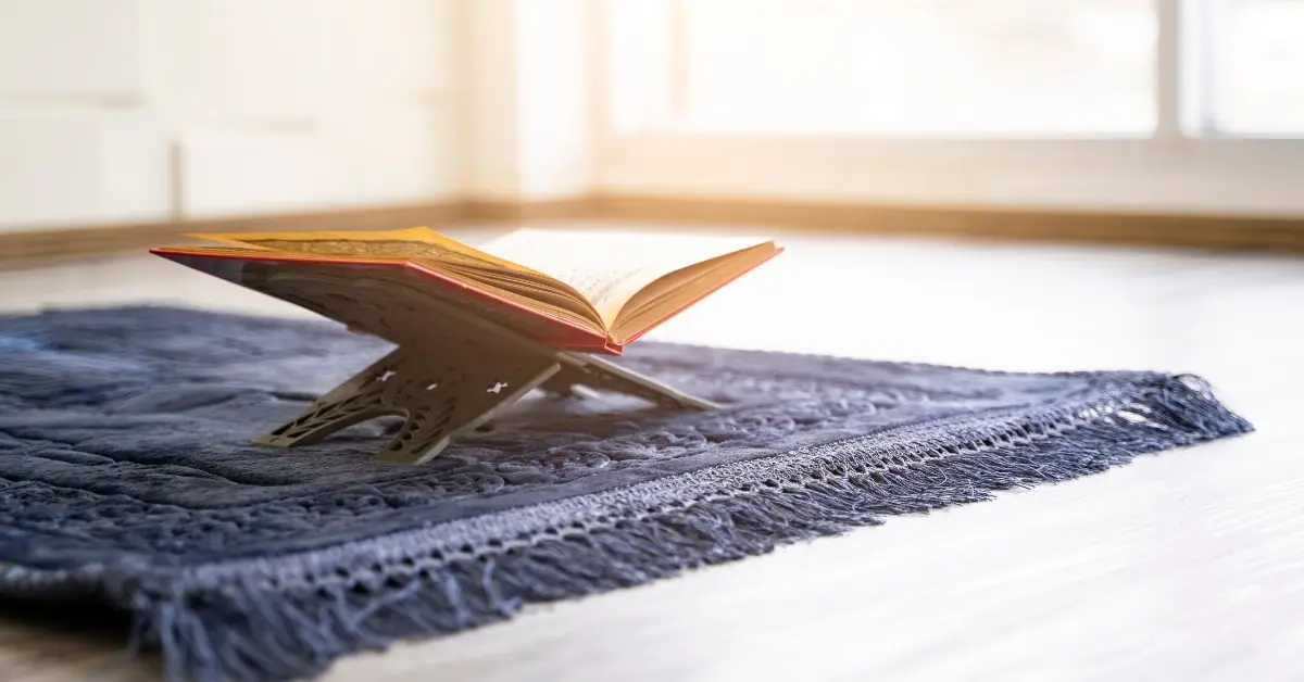 Smart Shoe Storage and Entryway Planning